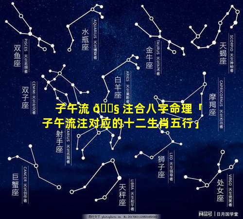 子午流 🐧 注合八字命理「子午流注对应的十二生肖五行」